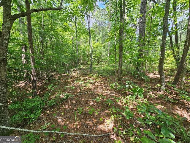 0 Harris Ridge Drive 183, Ellijay, GA 30540