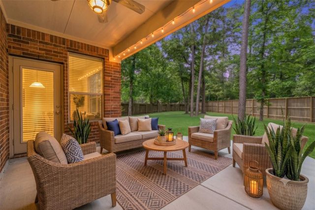 131 Winslow Hill Place, Montgomery, TX 77316
