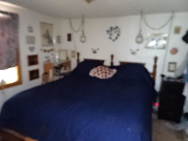 1874 Highway 6&50, Fruita, CO 81521