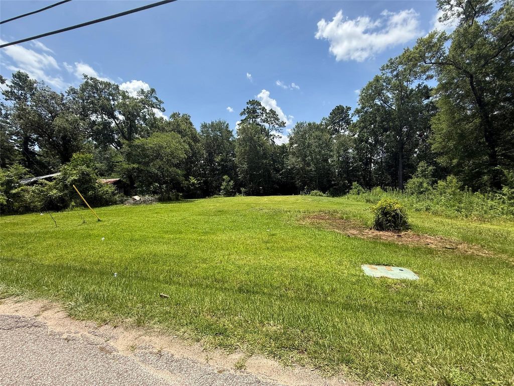 Lot 17, 18 Frontier Rd, Willis, TX 77378