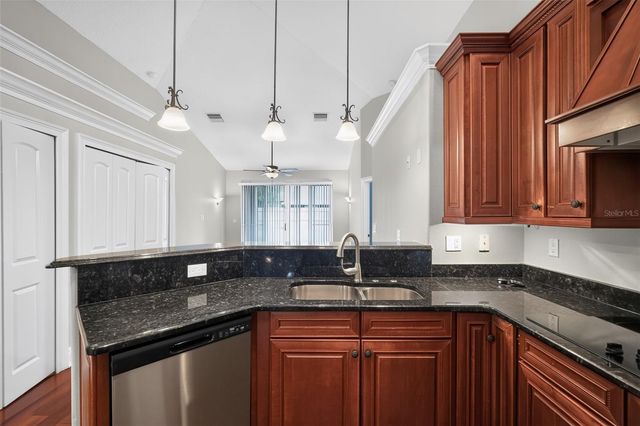 13548 MERE VIEW DRIVE, Odessa, FL 33556