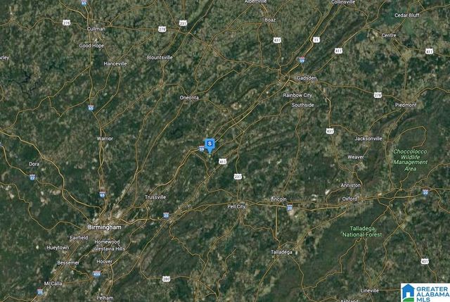 358 SAINT CLAIR ROAD, Springville, AL 35146