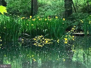 7244 MINK HOLLOW RD, Highland, MD 20777