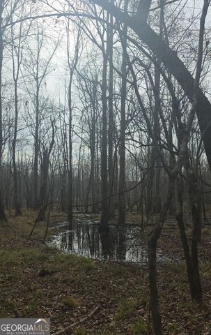 7367 Crest Highway, Molena, GA 30258