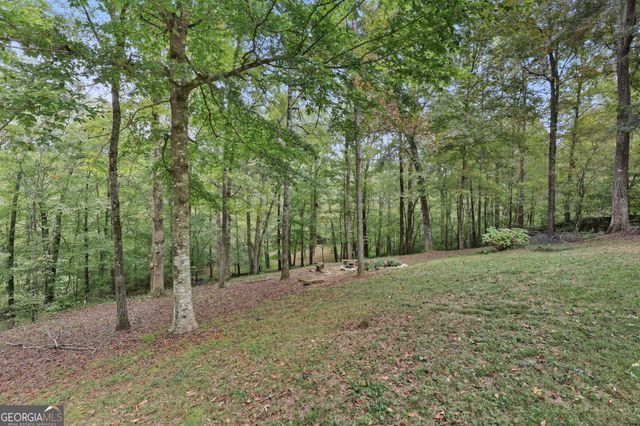 399 Grindstone Creek Drive, Clarkesville, GA 30523