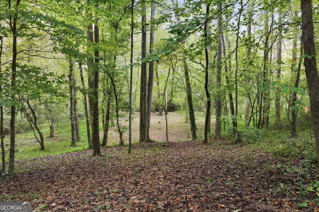 399 Grindstone Creek Drive, Clarkesville, GA 30523