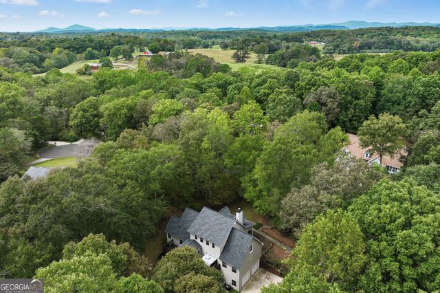 399 Grindstone Creek Drive, Clarkesville, GA 30523