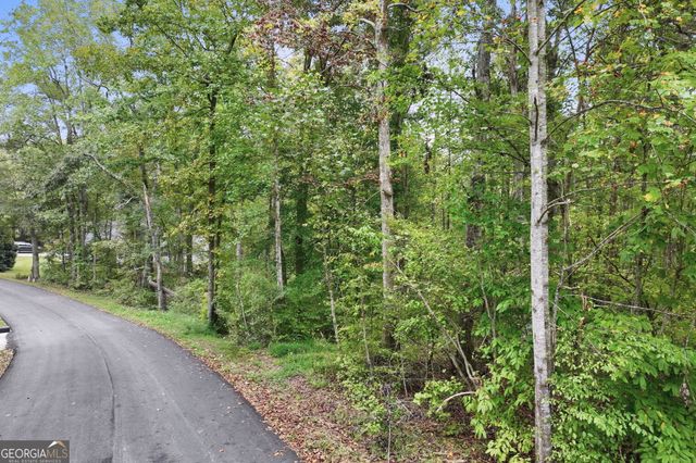 399 Grindstone Creek Drive, Clarkesville, GA 30523