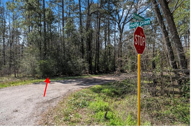 0 Hunters Trail, New Caney, TX 77357