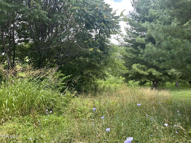 120 Hensley Loop, Jonesborough, TN 37659
