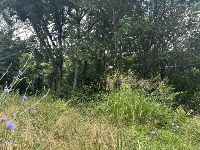 120 Hensley Loop, Jonesborough, TN 37659