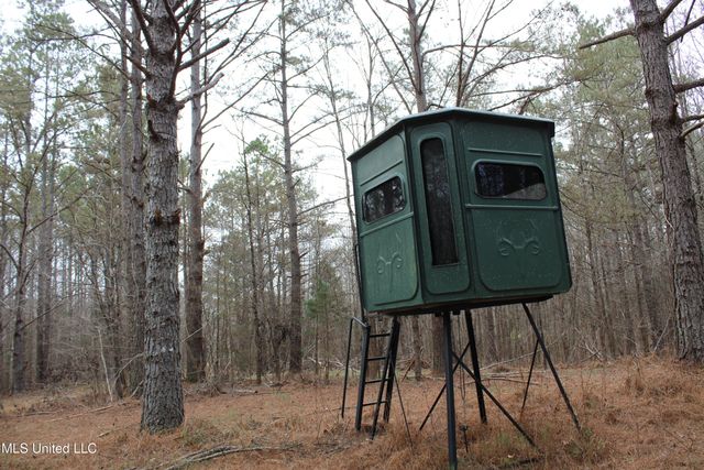 4 Mill Pond Road, Lamar, MS 38642