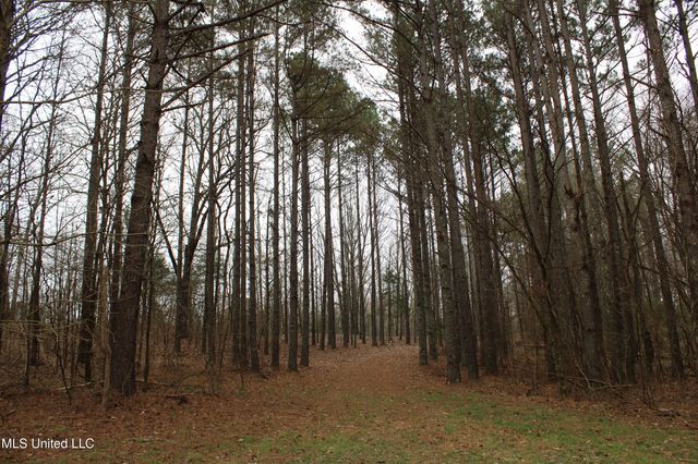 4 Mill Pond Road, Lamar, MS 38642