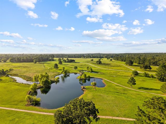 1445 Tara Drive, Trinity, TX 75862