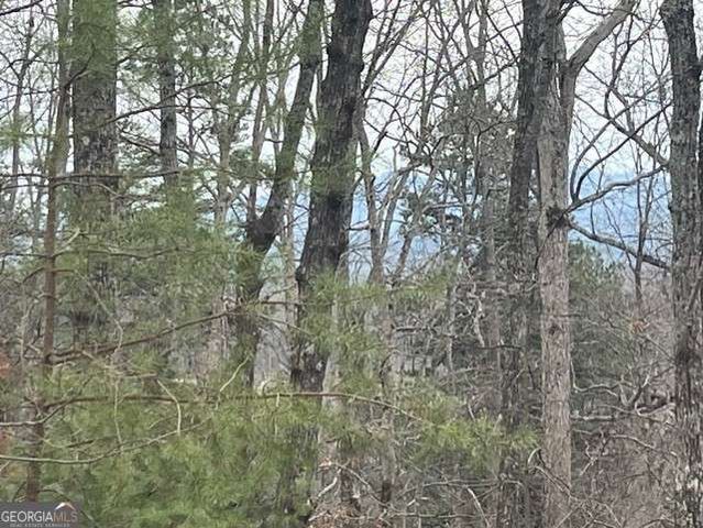 0 Brumby Run 8, Blairsville, GA 30512
