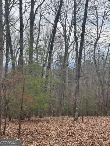 0 Brumby Run 8, Blairsville, GA 30512