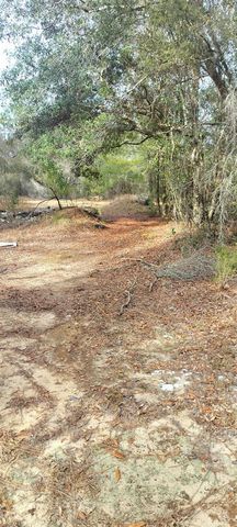 326 ELM TRAIL, Interlachen, FL 32148