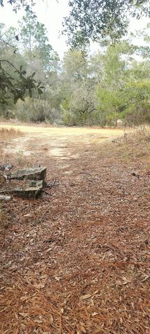 326 ELM TRAIL, Interlachen, FL 32148