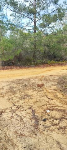 326 ELM TRAIL, Interlachen, FL 32148