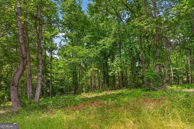 0 Conns Creek Road 4, Ball Ground, GA 30107