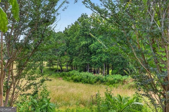 0 Conns Creek Road 4, Ball Ground, GA 30107