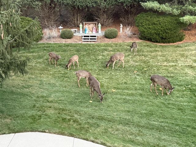 762 N Forest Ridge COURT, Summit, WI 53066