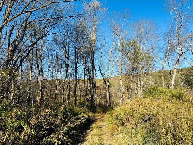 276 County Road 38, Bainbridge, NY 13733