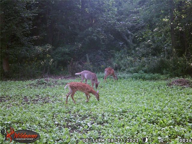 276 County Road 38, Bainbridge, NY 13733