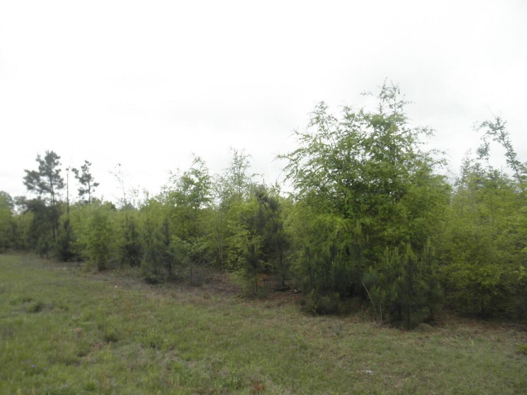 00 HIGHWAY 23, Waynesboro, GA 30830