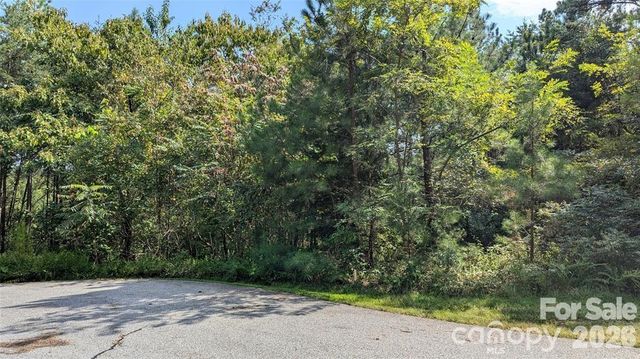 14 Spring Hollow Road, Lake Lure, NC 28746