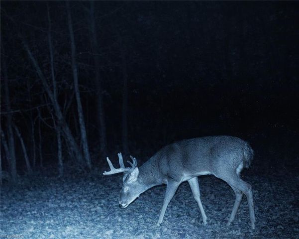 655 Wind Ridge Lane, Dobson, NC 27017