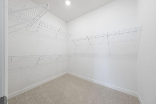 20047 Gabardine Lane, Lakeville, MN 55044