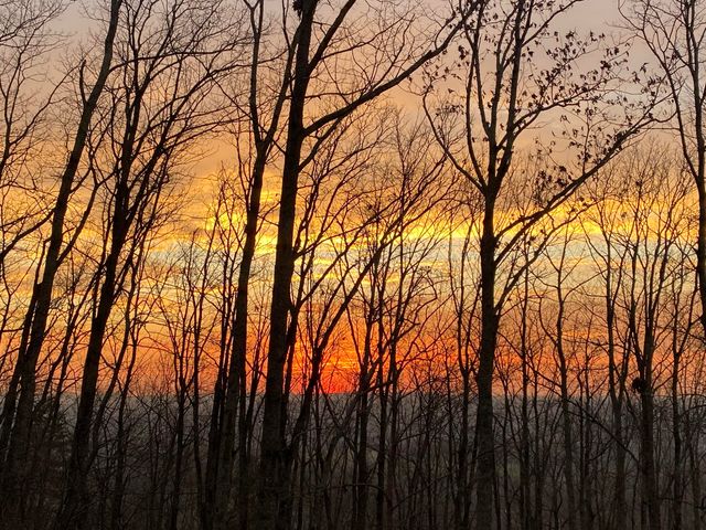 3465 Crown Colony Drive NW, Cleveland, TN 37312