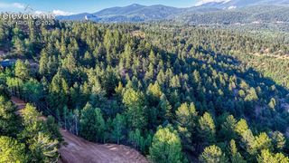 364 Blue Spruce Road, Divide, CO 80814