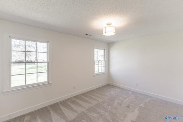 205 Perennial Way, Madison, AL 35757