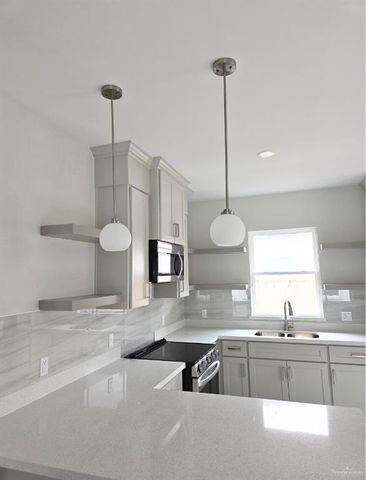 2005 Dragonfly Street 1, Mission, TX 78572