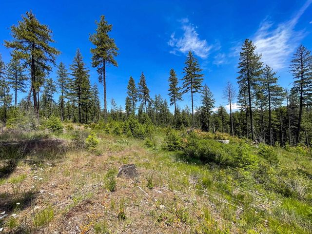 54XX Northshore Diamond Lake Rd Rd, Newport, WA 99156