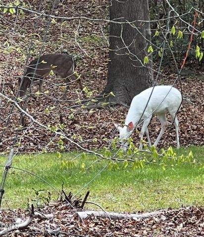 3413 W Wyndham Lane, Durham, NC 27705