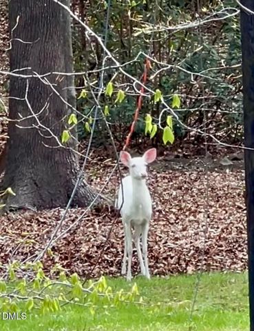 3413 W Wyndham Lane, Durham, NC 27705