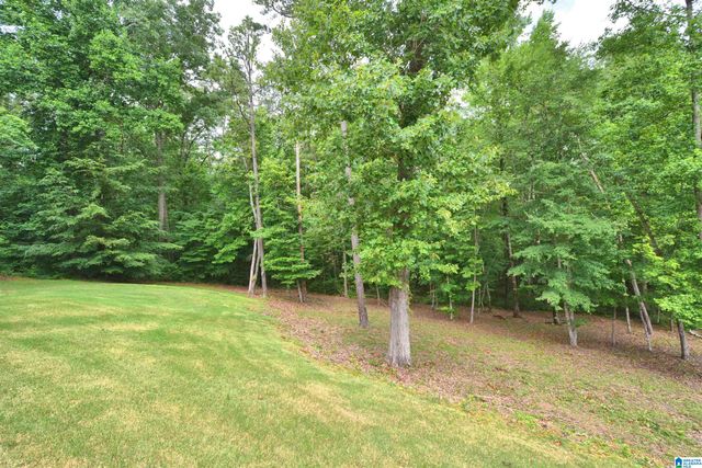 137 WILLOW BRANCH LANE, Chelsea, AL 35043
