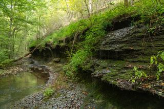 5690 Pinewood Rd, Franklin, TN 37064