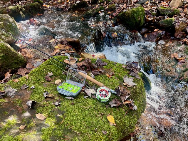 1504 Hutchison RD, Newport, VA 24128