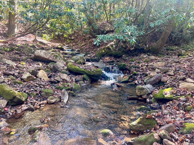 1504 Hutchison RD, Newport, VA 24128