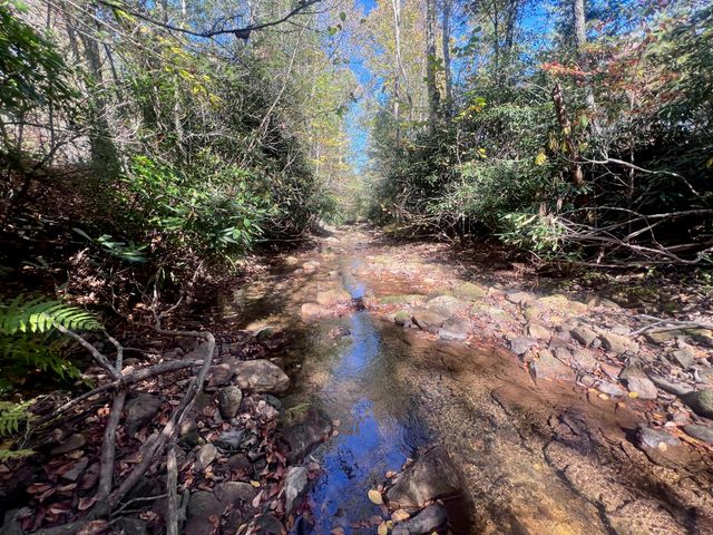 1504 Hutchison RD, Newport, VA 24128