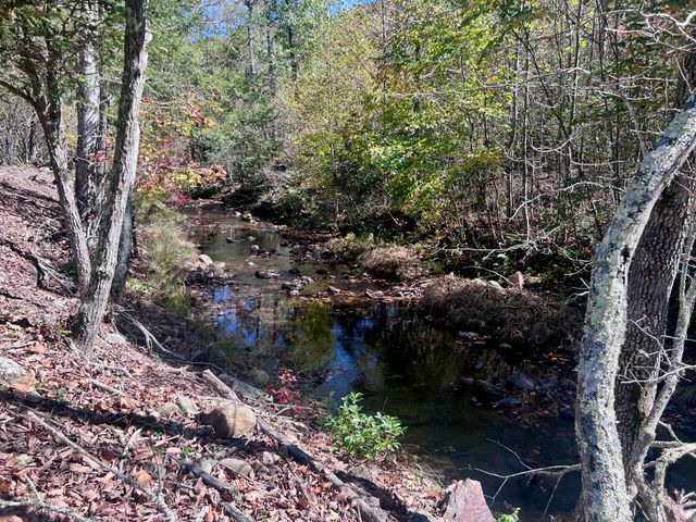 1504 Hutchison RD, Newport, VA 24128