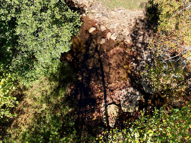 1504 Hutchison RD, Newport, VA 24128