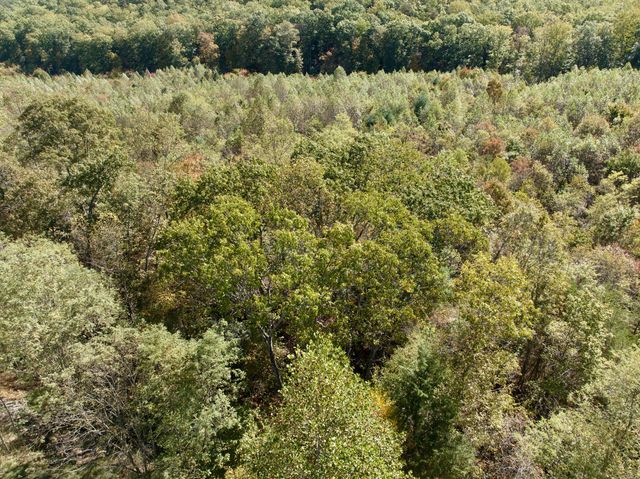 1504 Hutchison RD, Newport, VA 24128