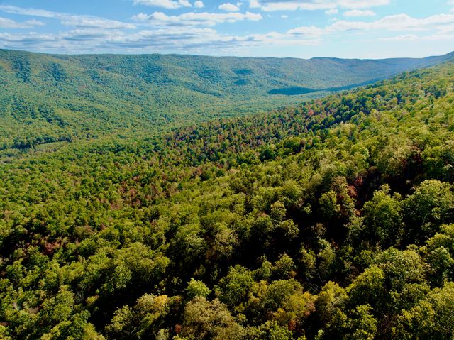 1504 Hutchison RD, Newport, VA 24128