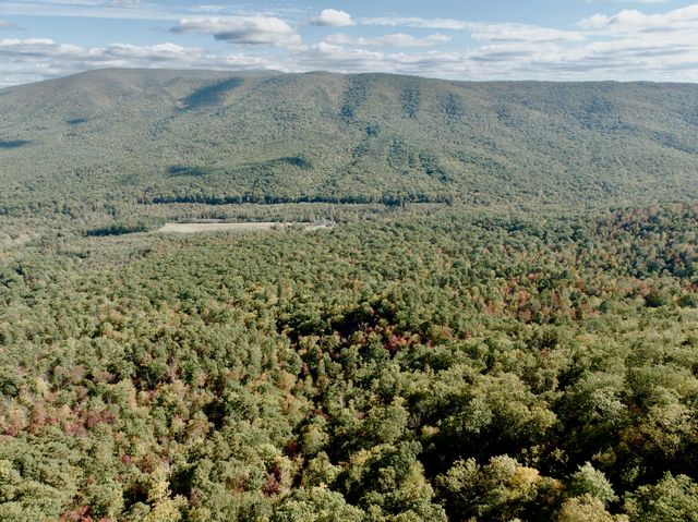 1504 Hutchison RD, Newport, VA 24128