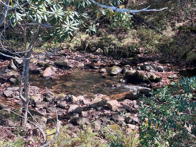 1504 Hutchison RD, Newport, VA 24128